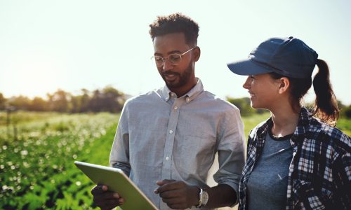 Agro-negócio e Gestão de Projetos Agrícolas